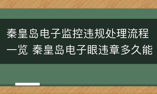 秦皇岛电子监控违规处理流程一览 秦皇岛电子眼违章多久能查到