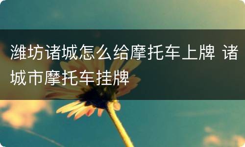 潍坊诸城怎么给摩托车上牌 诸城市摩托车挂牌