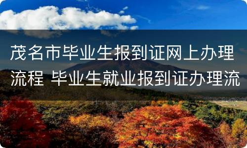 茂名市毕业生报到证网上办理流程 毕业生就业报到证办理流程