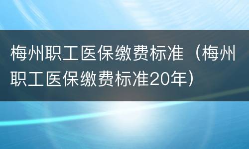 梅州职工医保缴费标准（梅州职工医保缴费标准20年）