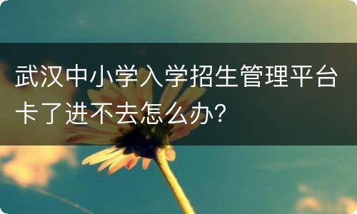 武汉中小学入学招生管理平台卡了进不去怎么办？