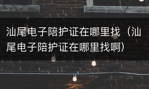 汕尾电子陪护证在哪里找（汕尾电子陪护证在哪里找啊）
