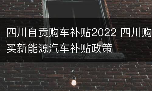 四川自贡购车补贴2022 四川购买新能源汽车补贴政策