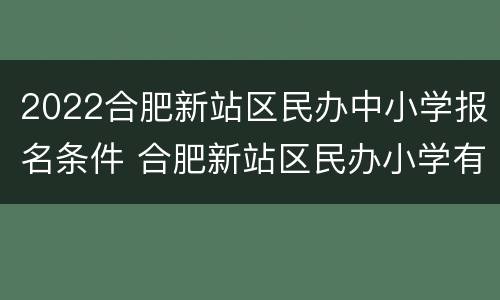 2022合肥新站区民办中小学报名条件 合肥新站区民办小学有哪些