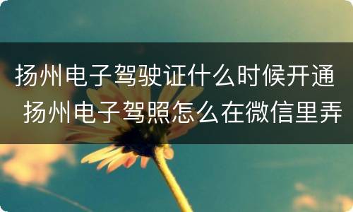 扬州电子驾驶证什么时候开通 扬州电子驾照怎么在微信里弄
