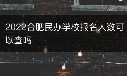 2022合肥民办学校报名人数可以查吗
