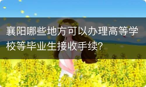 襄阳哪些地方可以办理高等学校等毕业生接收手续？