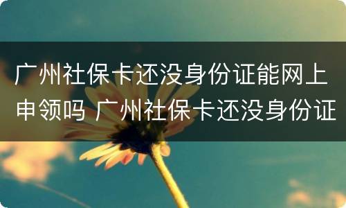 广州社保卡还没身份证能网上申领吗 广州社保卡还没身份证能网上申领吗
