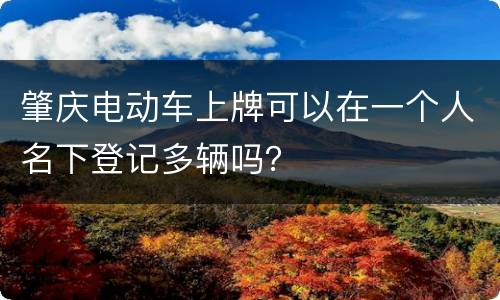肇庆电动车上牌可以在一个人名下登记多辆吗？
