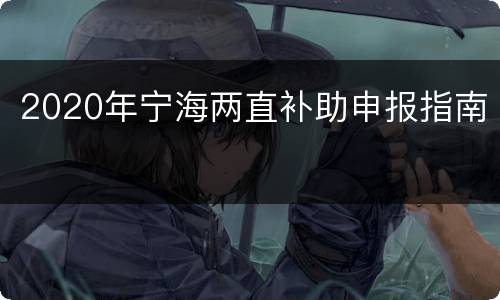 2020年宁海两直补助申报指南
