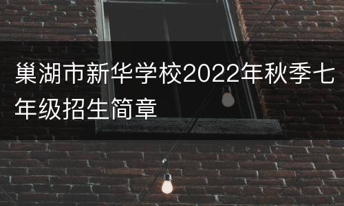 巢湖市新华学校2022年秋季七年级招生简章