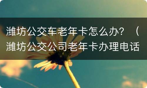 潍坊公交车老年卡怎么办？（潍坊公交公司老年卡办理电话号码）