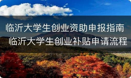 临沂大学生创业资助申报指南 临沂大学生创业补贴申请流程