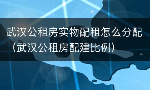 武汉公租房实物配租怎么分配（武汉公租房配建比例）
