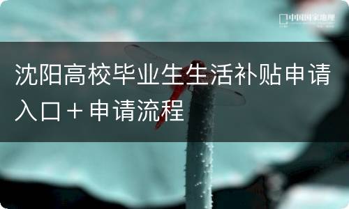 沈阳高校毕业生生活补贴申请入口＋申请流程
