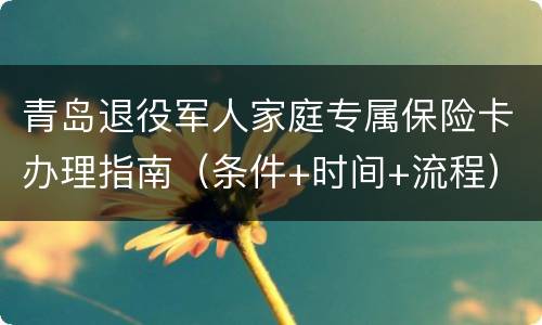 青岛退役军人家庭专属保险卡办理指南（条件+时间+流程）