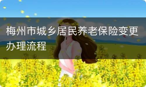 梅州市城乡居民养老保险变更办理流程