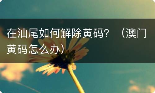 在汕尾如何解除黄码？（澳门黄码怎么办）