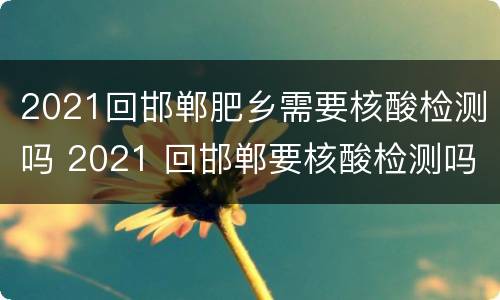 2021回邯郸肥乡需要核酸检测吗 2021 回邯郸要核酸检测吗