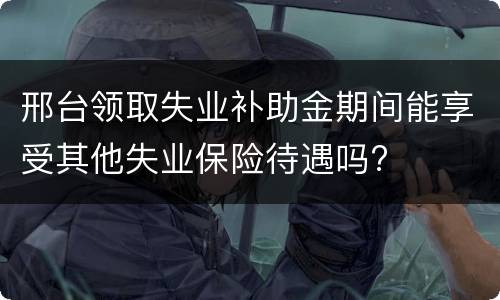 邢台领取失业补助金期间能享受其他失业保险待遇吗?