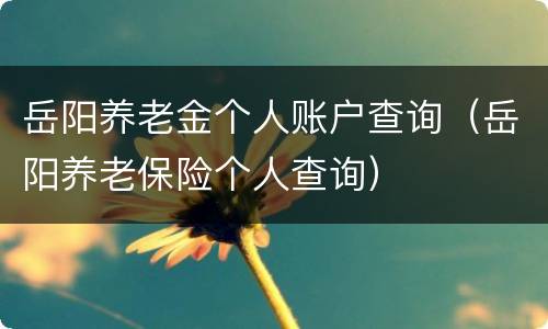 岳阳养老金个人账户查询（岳阳养老保险个人查询）