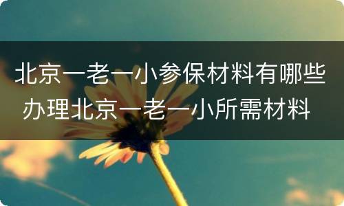 北京一老一小参保材料有哪些 办理北京一老一小所需材料