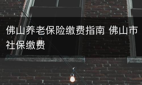 佛山养老保险缴费指南 佛山市社保缴费