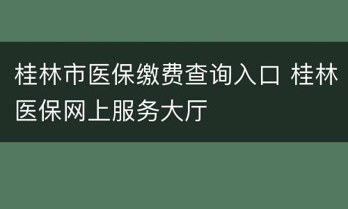 桂林市医保缴费查询入口 桂林医保网上服务大厅