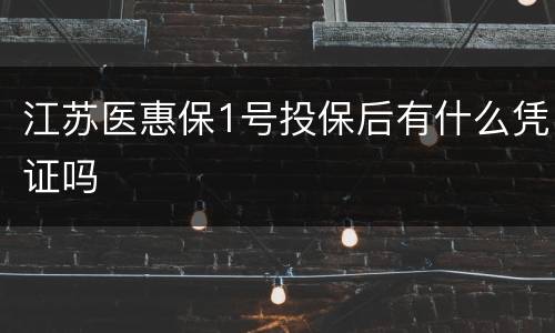 江苏医惠保1号投保后有什么凭证吗