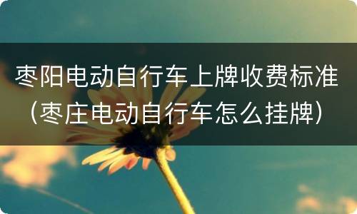 枣阳电动自行车上牌收费标准（枣庄电动自行车怎么挂牌）