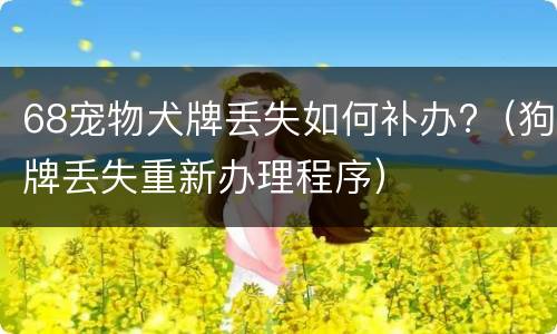 68宠物犬牌丢失如何补办?（狗牌丢失重新办理程序）