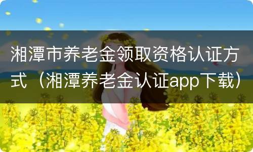 湘潭市养老金领取资格认证方式（湘潭养老金认证app下载）