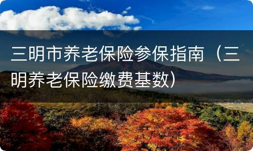 三明市养老保险参保指南（三明养老保险缴费基数）
