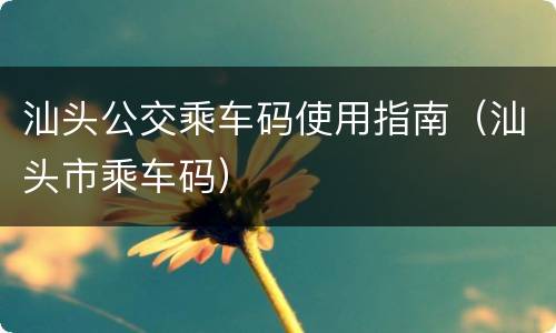 汕头公交乘车码使用指南（汕头市乘车码）