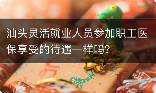 汕头灵活就业人员参加职工医保享受的待遇一样吗？