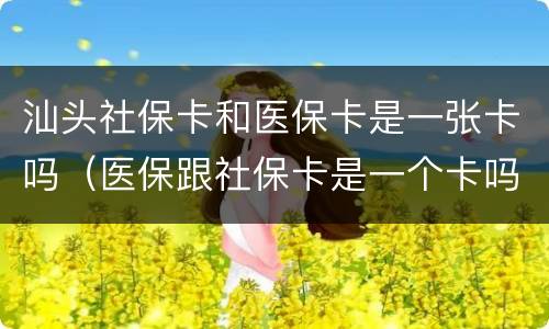 汕头社保卡和医保卡是一张卡吗（医保跟社保卡是一个卡吗）