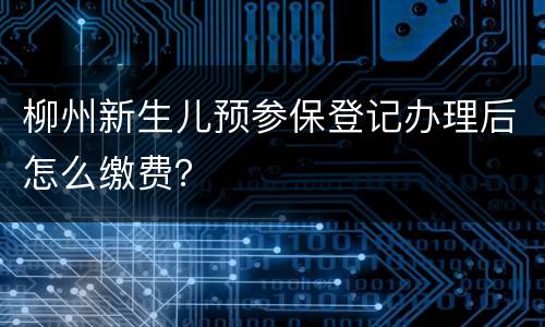 柳州新生儿预参保登记办理后怎么缴费？