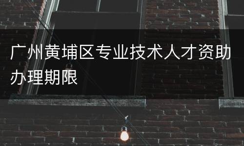 广州黄埔区专业技术人才资助办理期限