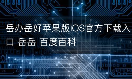 岳办岳好苹果版iOS官方下载入口 岳岳 百度百科