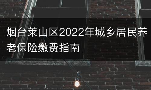 烟台莱山区2022年城乡居民养老保险缴费指南
