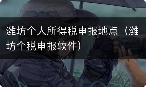 潍坊个人所得税申报地点（潍坊个税申报软件）