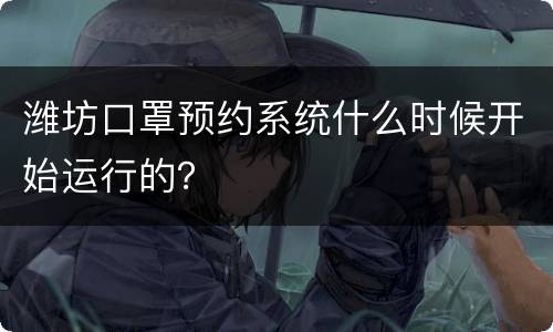 潍坊口罩预约系统什么时候开始运行的？