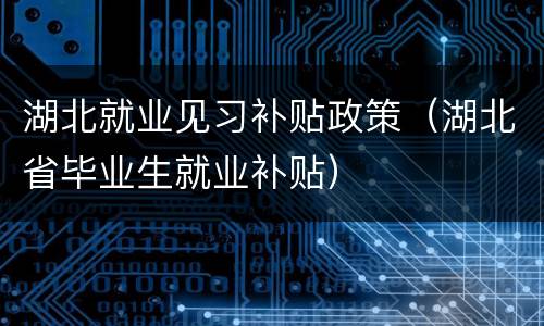湖北就业见习补贴政策（湖北省毕业生就业补贴）