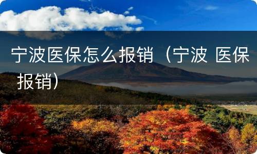 宁波医保怎么报销（宁波 医保 报销）