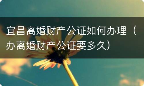 宜昌离婚财产公证如何办理（办离婚财产公证要多久）