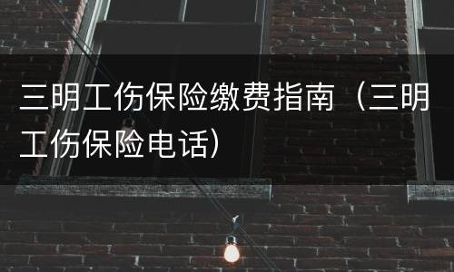三明工伤保险缴费指南（三明工伤保险电话）