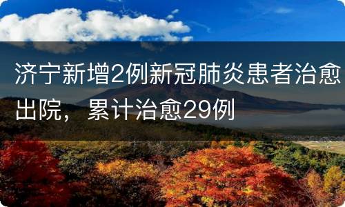 济宁新增2例新冠肺炎患者治愈出院，累计治愈29例