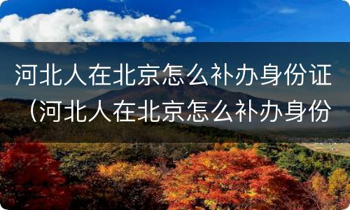 河北人在北京怎么补办身份证（河北人在北京怎么补办身份证明）
