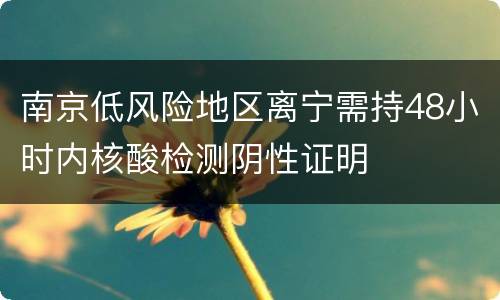 南京低风险地区离宁需持48小时内核酸检测阴性证明