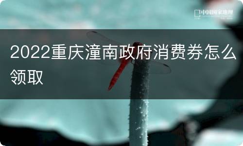 2022重庆潼南政府消费券怎么领取